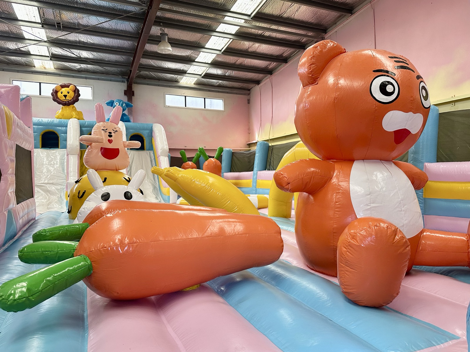 Giant Bouncy Castle Area